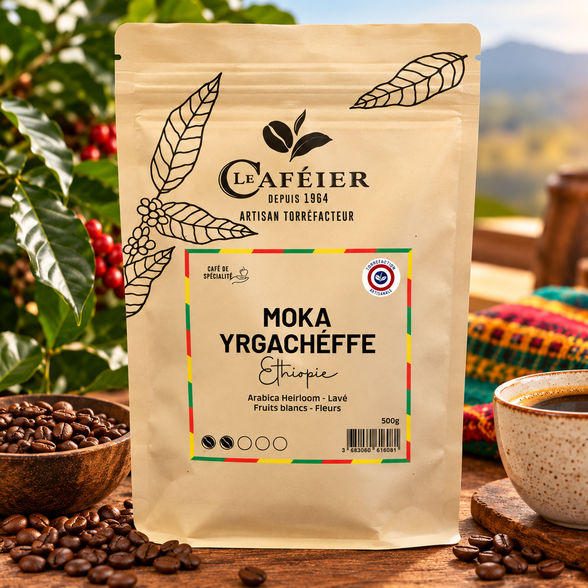 Café en Grains de Spécialité Moka Yrgachéffe – Ethiopie – Torréfié en France – Le Caféier