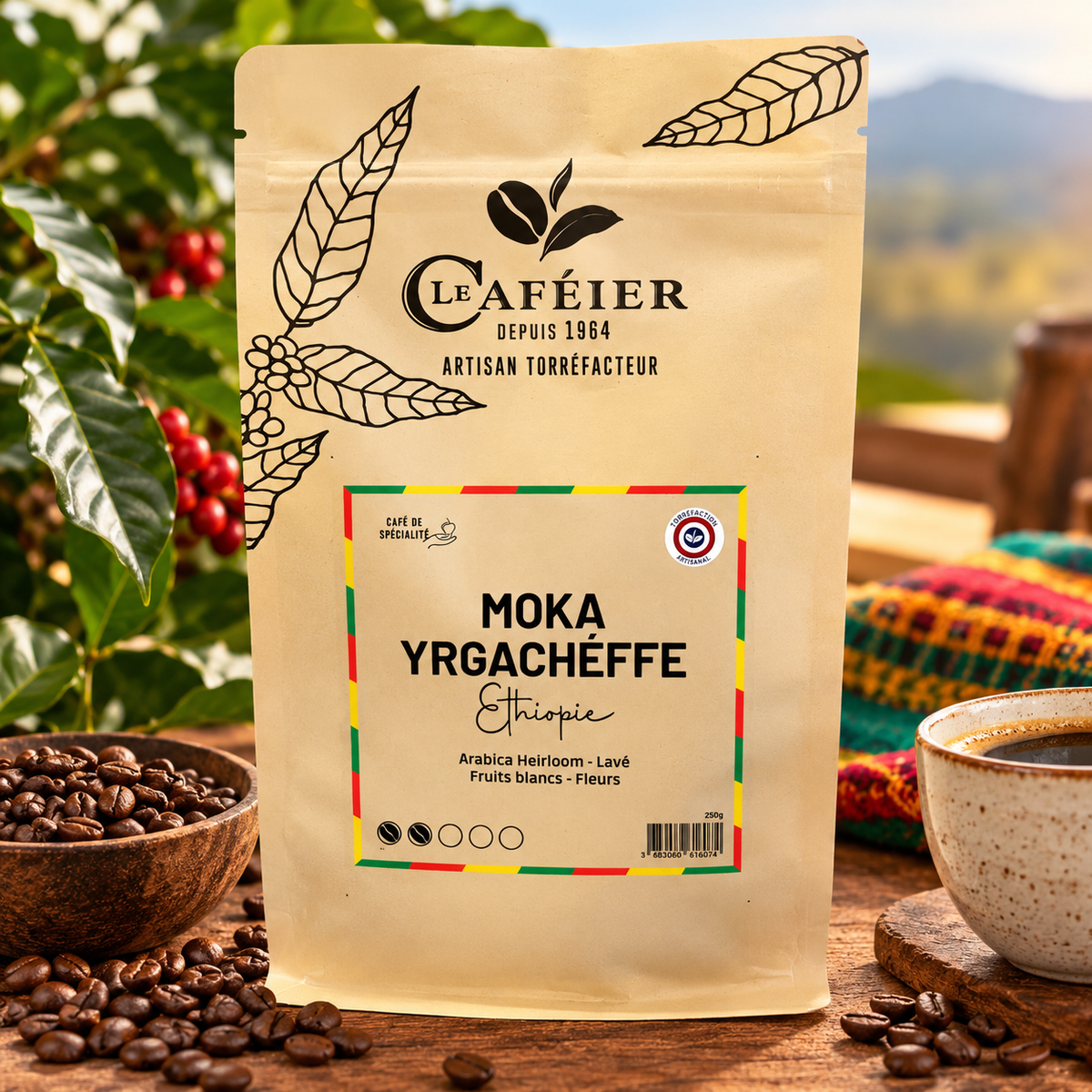 Café en Grains de Spécialité Moka Yrgachéffe – Ethiopie – Torréfié en France – Le Caféier