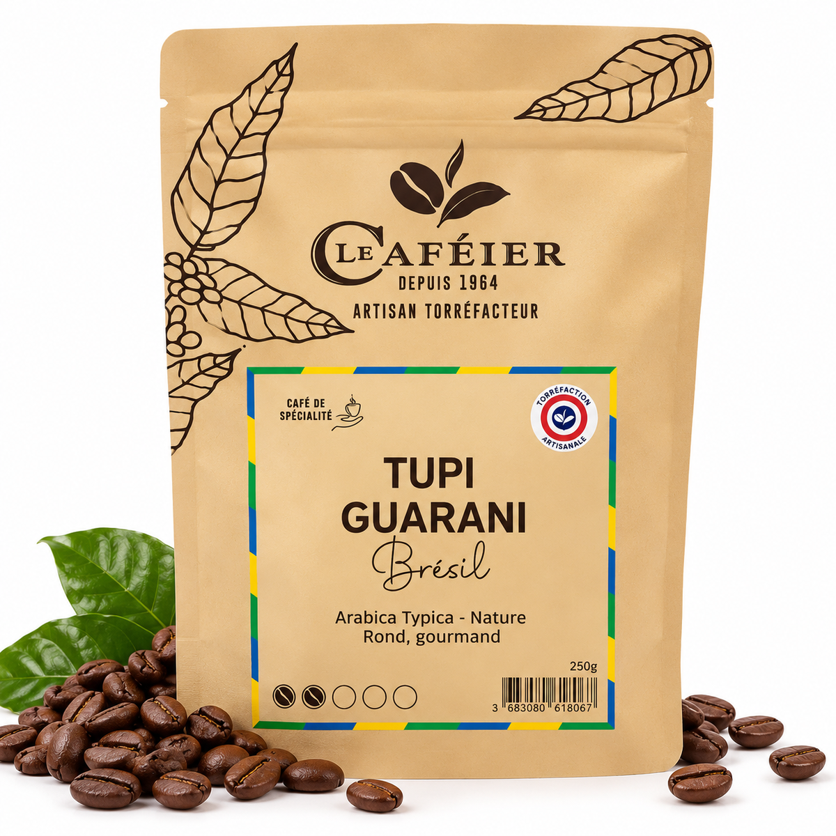 Café en Grains de Spécialité Tupi Guarani – Brésil – Torréfié en France – Le Caféier – 250 g